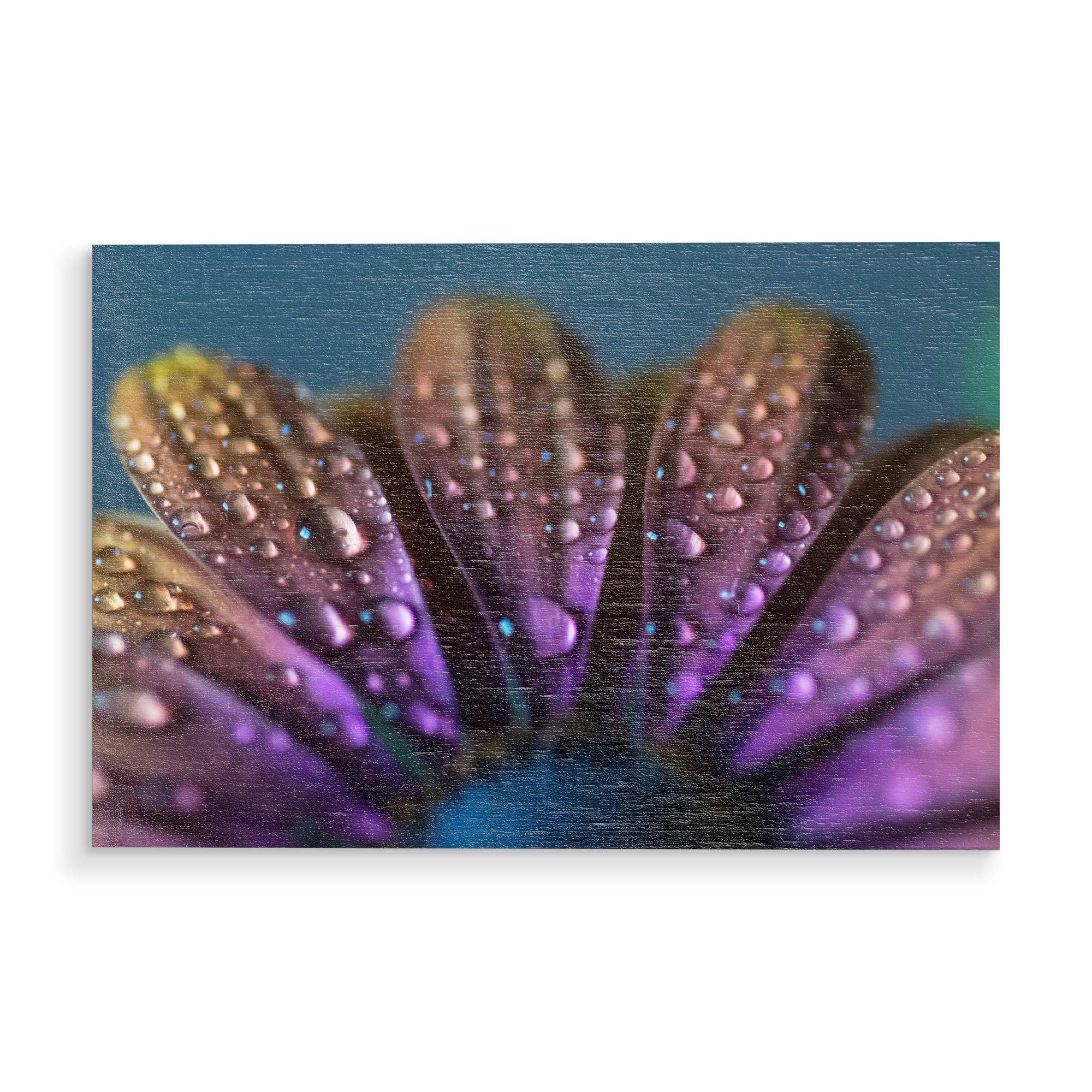 Holzbild "Schönheit aus nächster Nähe" artboxONE - Natur,Floral,Abstrakt,Für Mama
