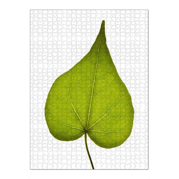Puzzle Ravensburger "Ficus religiosa" artboxONE - Natur,Floral