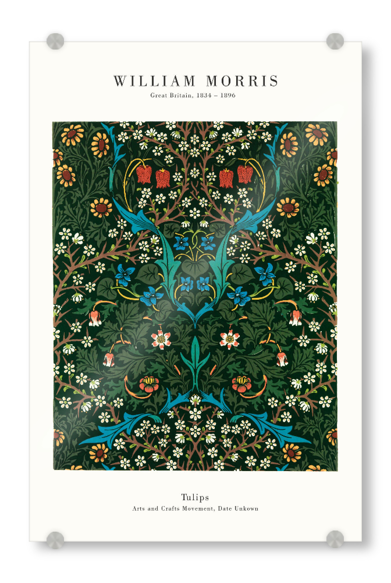 Acrylglasbild "William Morris - Tulips" artboxONE - Natur,Floral - Tulpe,Blume,Blüte,Floral,Botanik,Morris,Kunstdruck,Kunstwerk,Gemälde,Kunst,Malerei