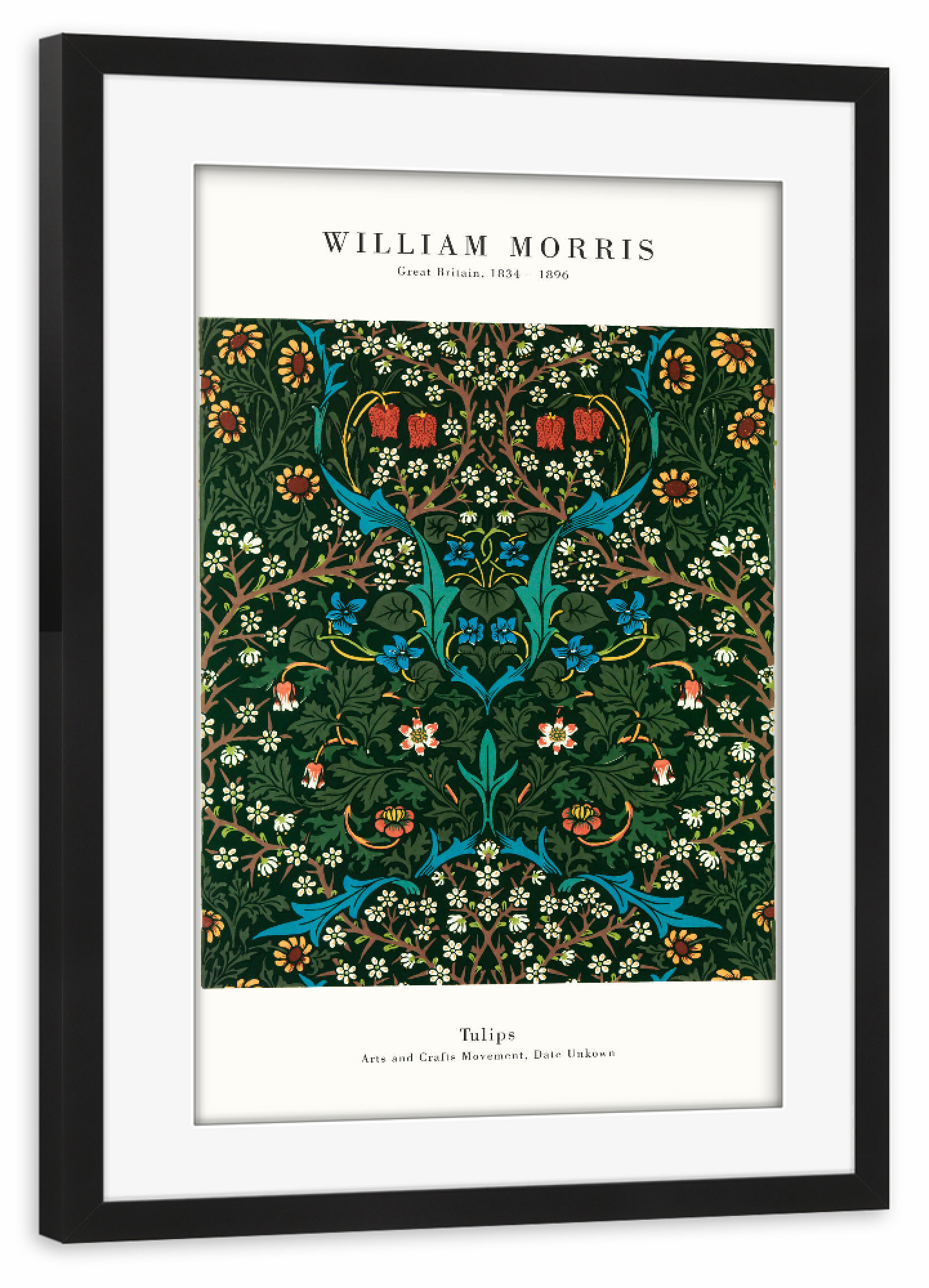 Poster mit Rahmen schwarz "William Morris - Tulips" artboxONE - Natur,Floral