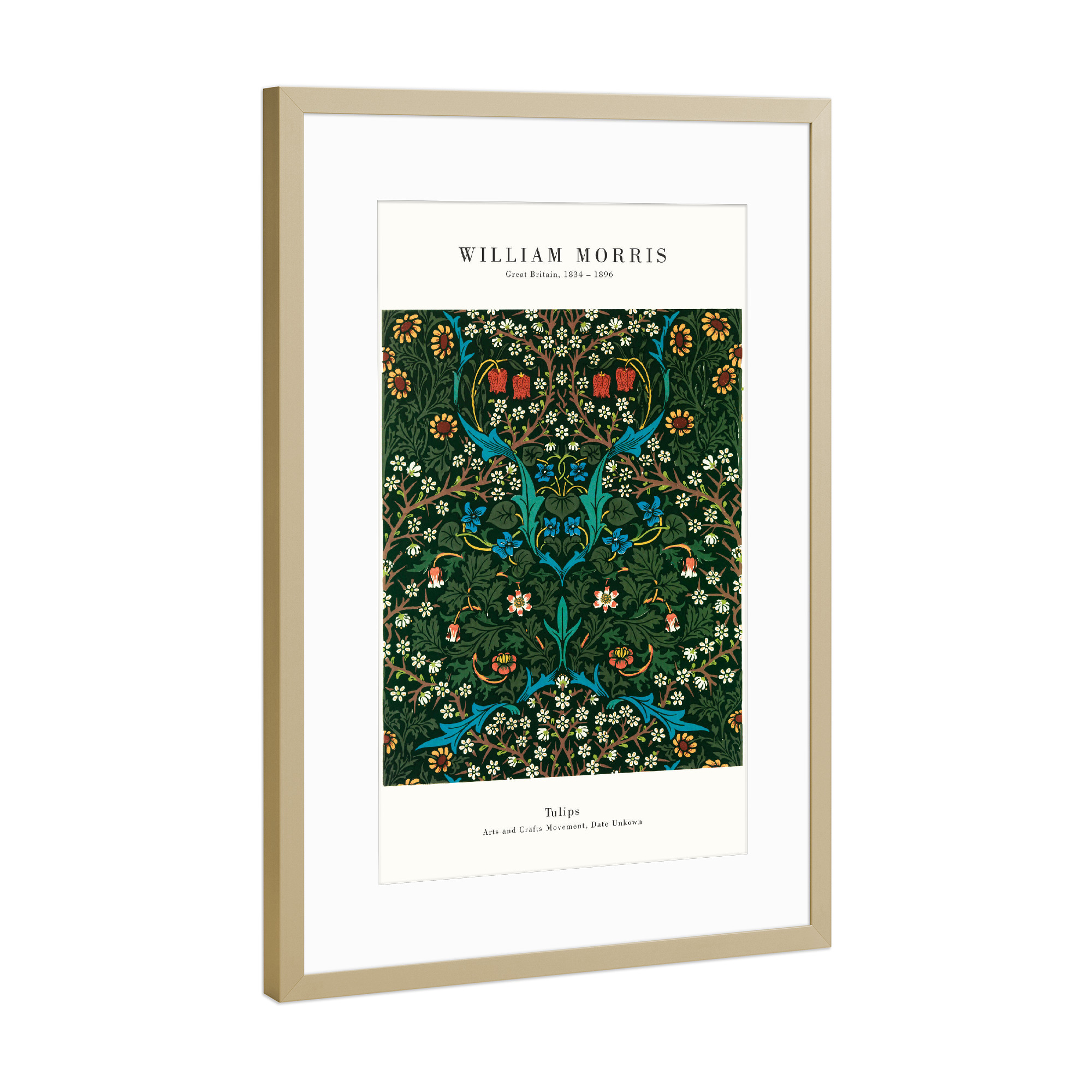 Poster mit Rahmen Gold "William Morris - Tulips" artboxONE - Natur,Floral