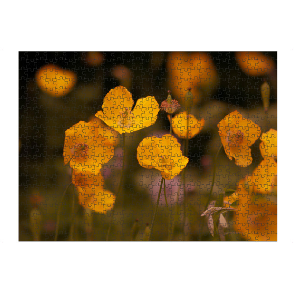 Puzzle Ravensburger "Gelbe Mohnblume" artboxONE - Natur,Floral