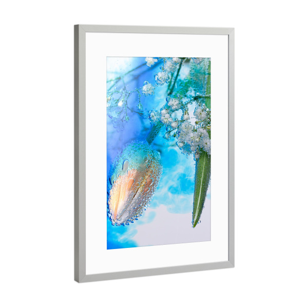 Poster mit Rahmen Silber "Tulpe und blaue Farbe" artboxONE - Floral