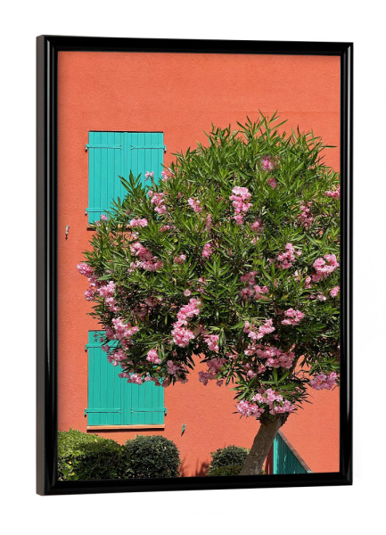 Poster mit schwarzem Rahmen "C'est joli" artboxONE - Natur,Reise,Architektur - Südfrankreich,Provence,Côtedazur,Natur,Baum