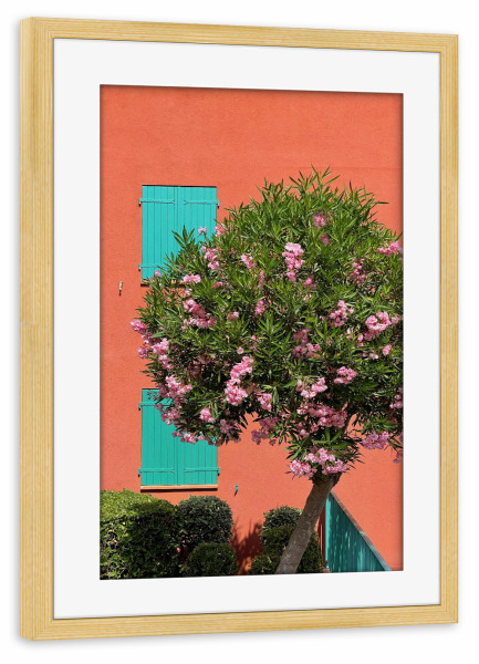 Poster mit Rahmen kiefer "C'est joli" artboxONE - Natur,Reise,Architektur - Südfrankreich,Provence,Côtedazur,Natur,Baum