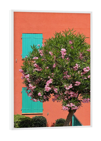 Poster mit weißem Rahmen "C'est joli" artboxONE - Natur,Reise,Architektur - Südfrankreich,Provence,Côtedazur,Natur,Baum