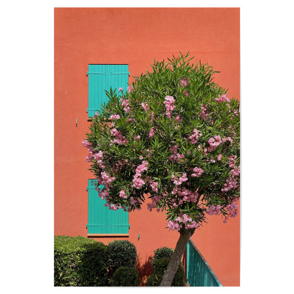 Poster 30x20 cm "C'est joli" artboxONE - Natur,Reise,Architektur - Südfrankreich,Provence,Côtedazur,Natur,Baum