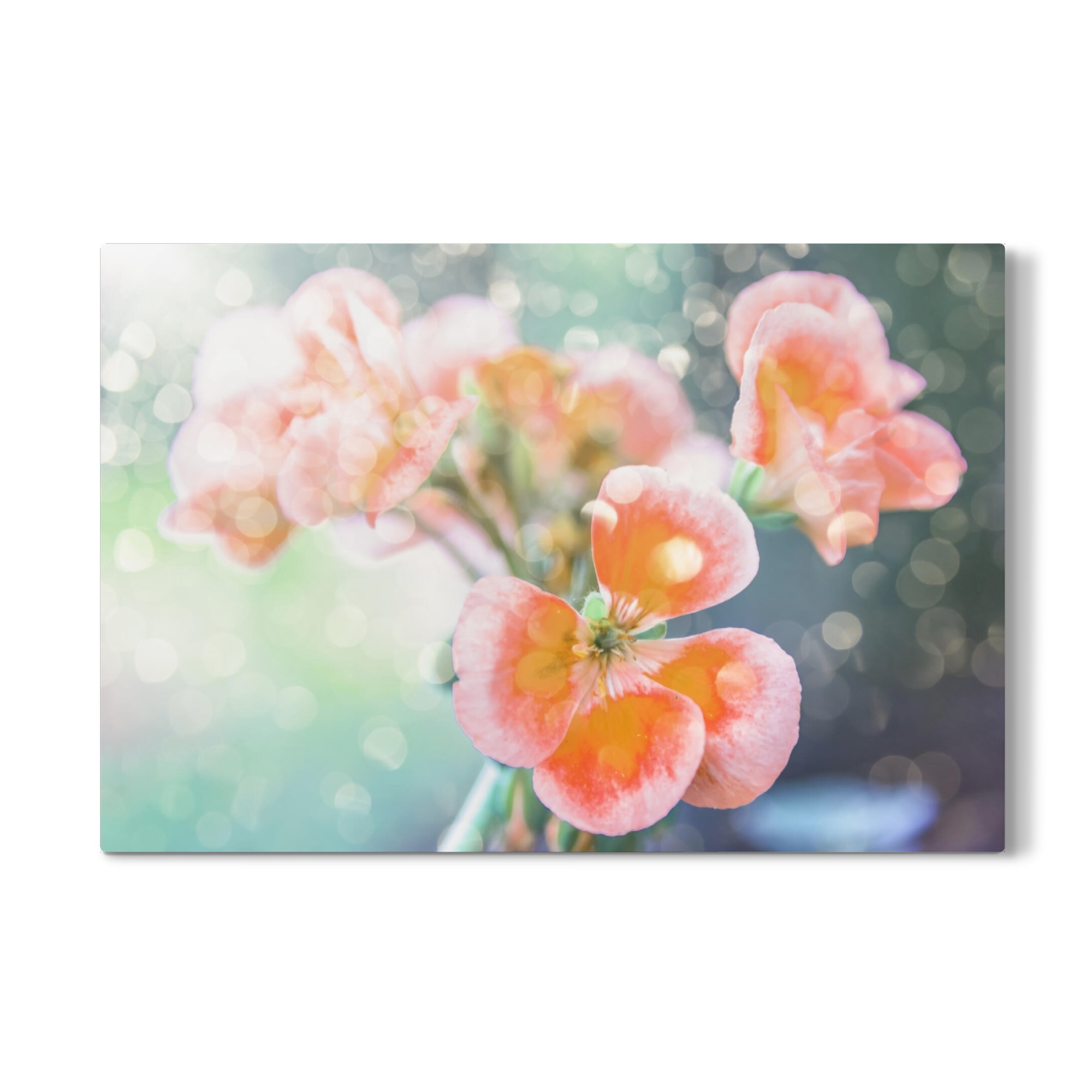 Galerie-Print "Frühling im Garten" 30x20 cm artboxONE