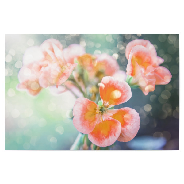 Poster "Frühling im Garten" artboxONE - Natur,Floral,Liebe,Für Mama