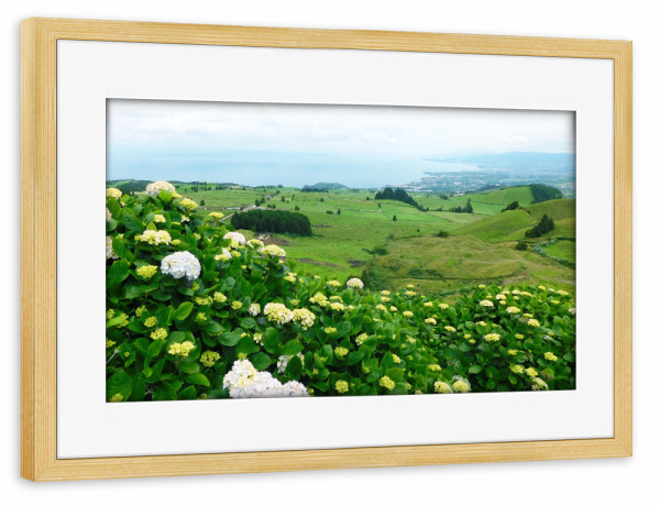 Poster mit Rahmen kiefer "Küste Sao Miguel" artboxONE - Natur,Reise,Floral,Reise / Strand und Meer,Reise / Länder