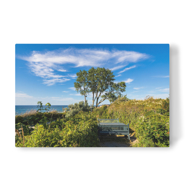 Leinwandbild "Bank, Gebüsch, Baum, Himmel" artboxONE - Natur,Reise