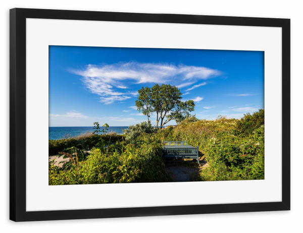 Poster mit Rahmen schwarz "Bank, Gebüsch, Baum, Himmel" artboxONE - Natur,Reise
