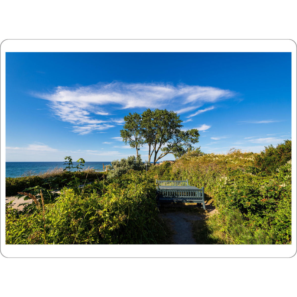 Tischset "Bank, Gebüsch, Baum, Himmel" artboxONE - Natur,Reise