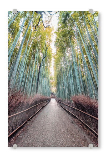 Acrylglasbild "Der Weg durch den Bambus" artboxONE - Natur,Reise,Architektur,Reise / Asien,Reise / Länder