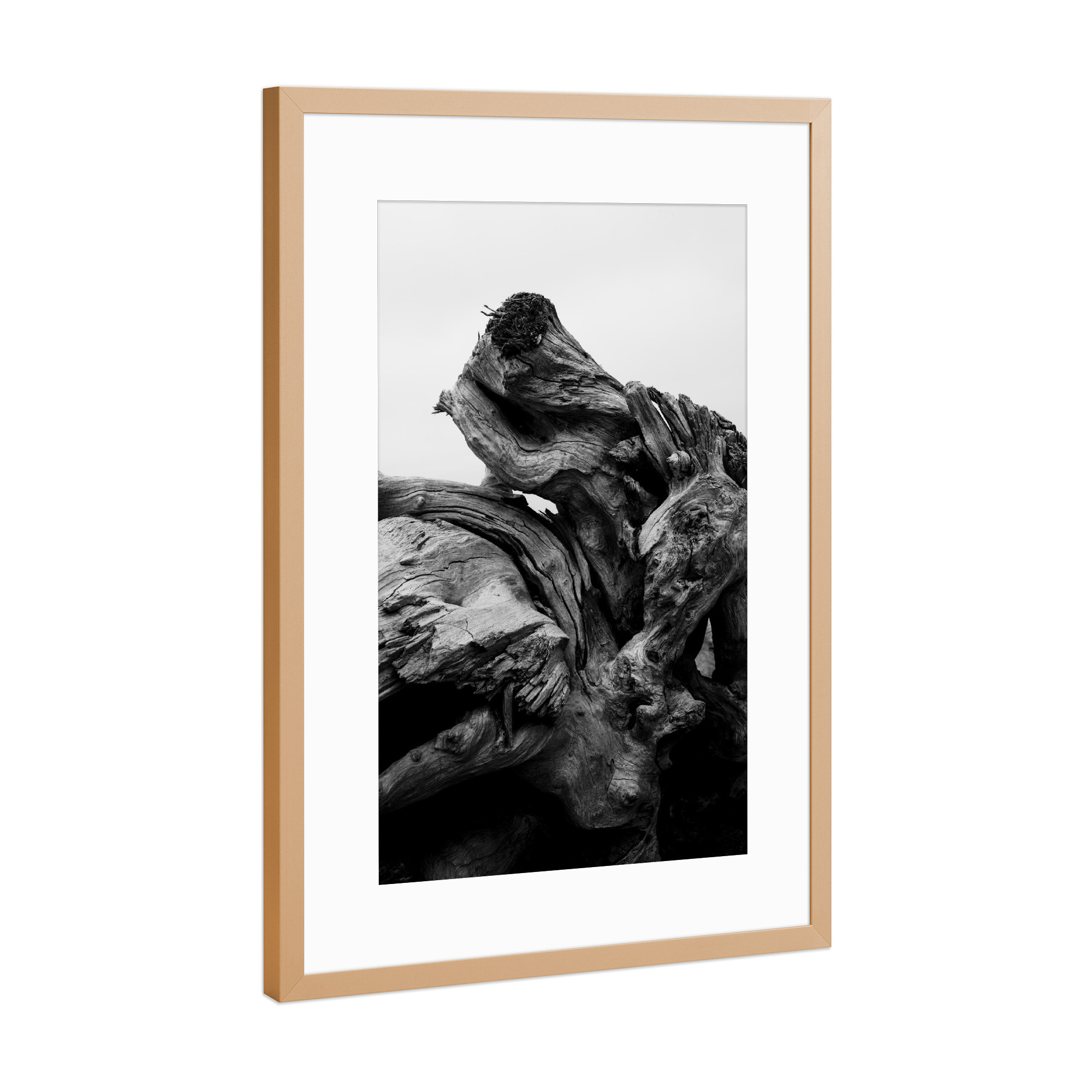 Poster mit Rahmen Kupfer "Verschlungen" artboxONE - Natur,Schwarzweiß - Baum,Wurzel,Schwarz,Weiß,Natur,Schwarz-weiß