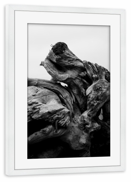 Poster mit Rahmen weiß "Verschlungen" artboxONE - Natur,Schwarzweiß - Baum,Wurzel,Schwarz,Weiß,Natur,Schwarz-weiß