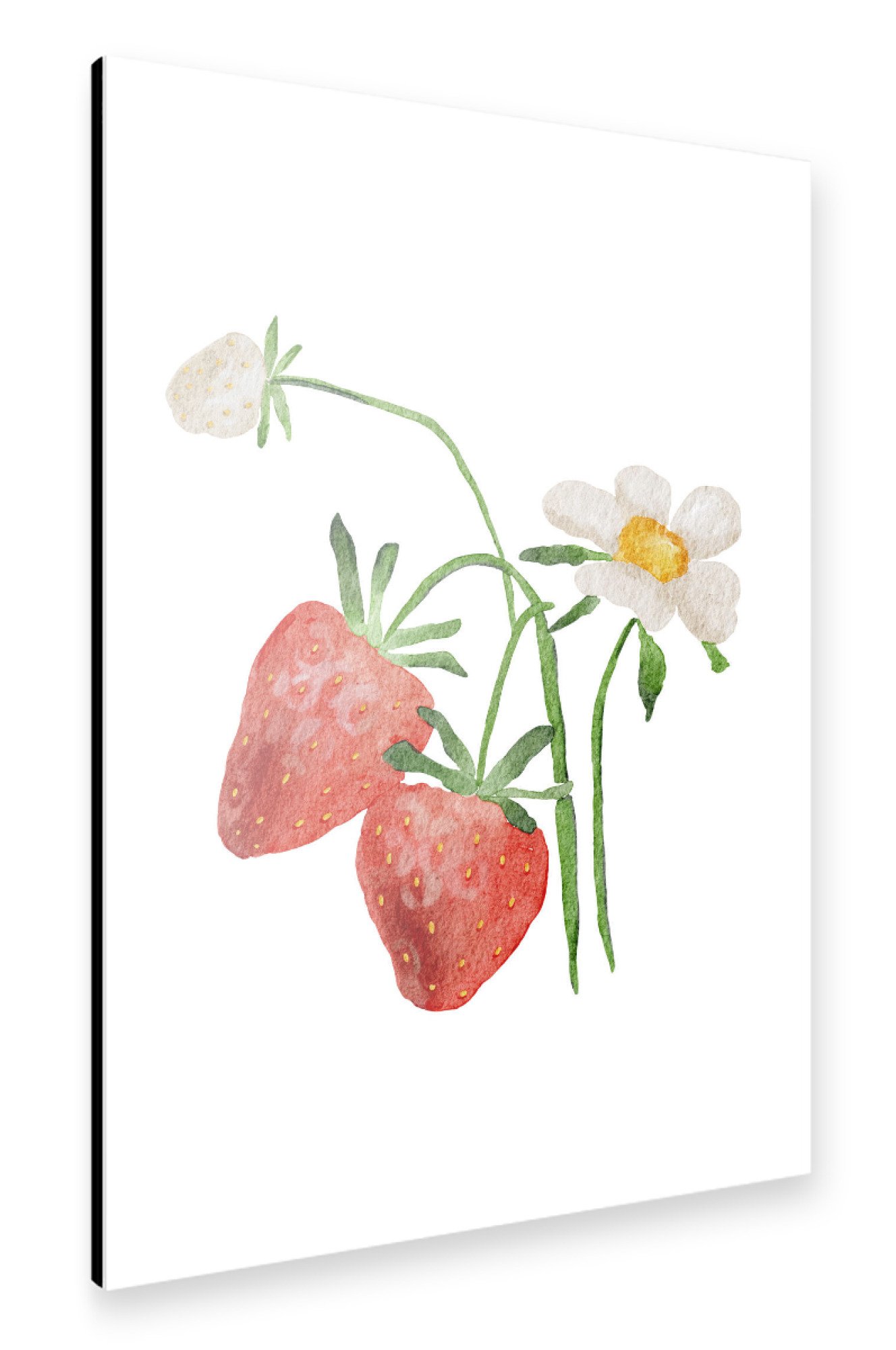 Alu-Dibond "Aquarell Fruchterdbeere" 30x20 cm artboxONE