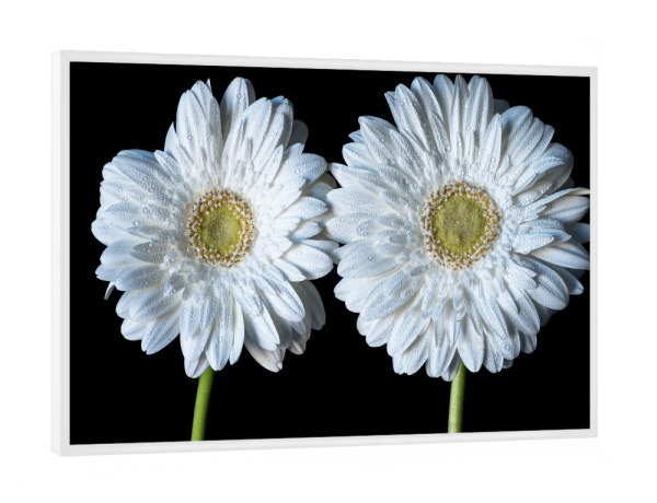 Poster mit weißem Rahmen "Nasse Blumen" artboxONE - Natur,Floral,Abstrakt,Für Mama