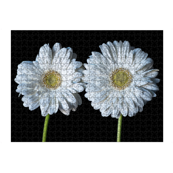 artboxONE Puzzle "Nasse Blumen" artboxONE - Natur,Floral,Abstrakt,Für Mama