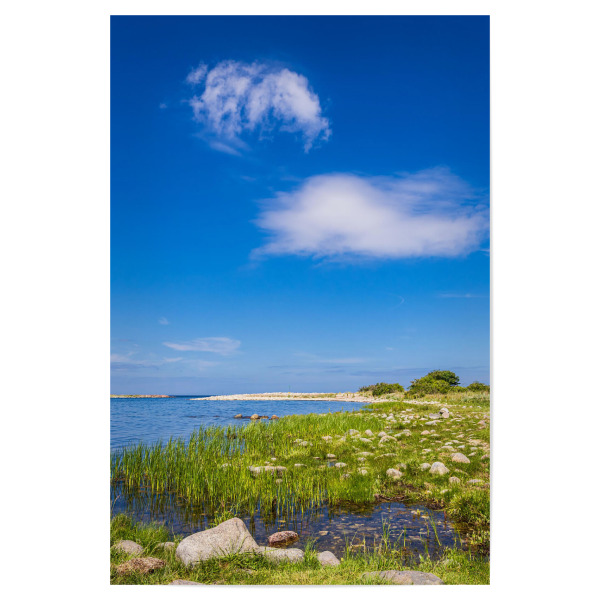 Poster "Schilf, Steine, Wolkenhimmel" artboxONE - Natur,Reise,Reise / Strand und Meer,Reise / Länder