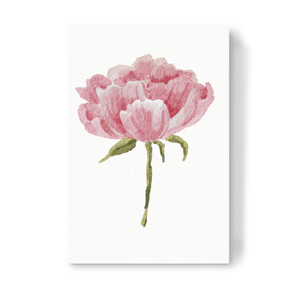 Leinwandbild "Aquarell Blumenkunst" artboxONE - Floral - Aquarell,Blume,Pfingstrose,Hochzeit,Kunst,Blumen,Rosa,Pfingstrosenblume,Boho