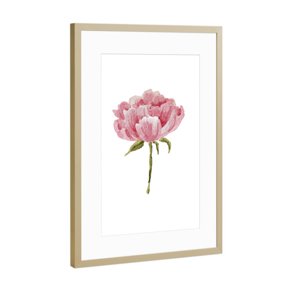 Poster mit Rahmen Gold "Aquarell Blumenkunst" artboxONE - Floral - Aquarell,Blume,Pfingstrose,Hochzeit,Kunst,Blumen,Rosa,Pfingstrosenblume,Boho