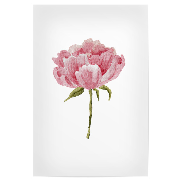 Poster 30x20 cm "Aquarell Blumenkunst" artboxONE - Floral - Aquarell,Blume,Pfingstrose,Hochzeit,Kunst,Blumen,Rosa,Pfingstrosenblume,Boho