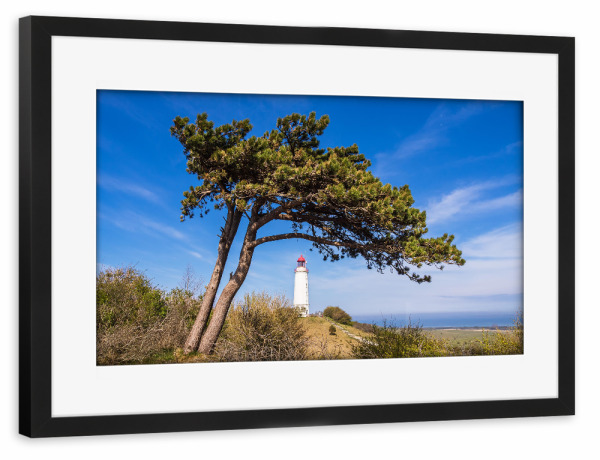 Poster mit Rahmen schwarz "Windflüchter und Leuchtturm" artboxONE - Natur,Reise,Architektur