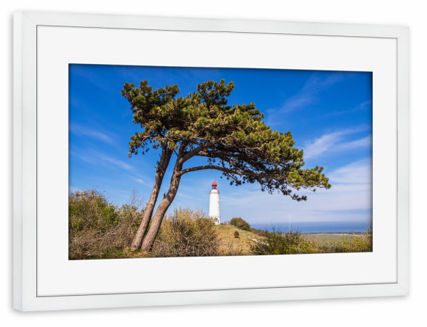 Poster mit Rahmen weiß "Windflüchter und Leuchtturm" artboxONE - Natur,Reise,Architektur