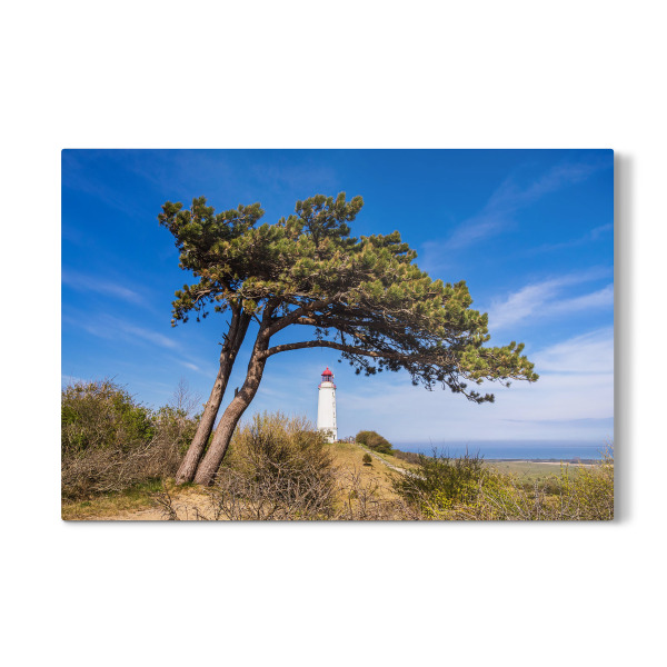 Galerie-Print "Windflüchter und Leuchtturm" 30x20 cm artboxONE