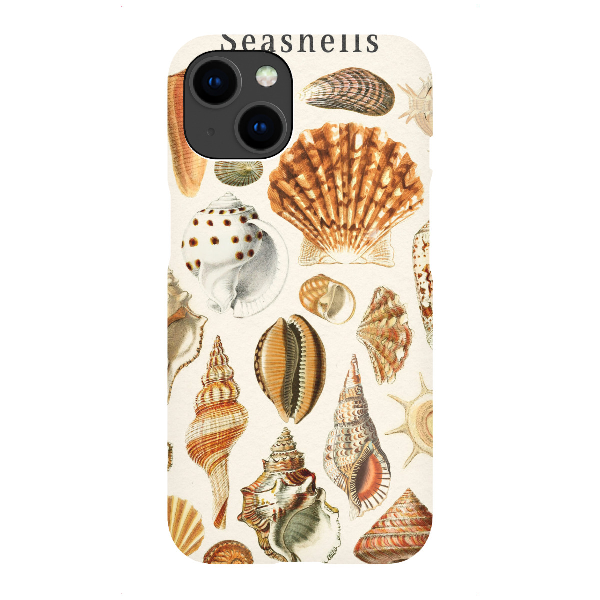 "Muschelsammlung"für iPhone - Premium-Case Handyhülle artboxONE