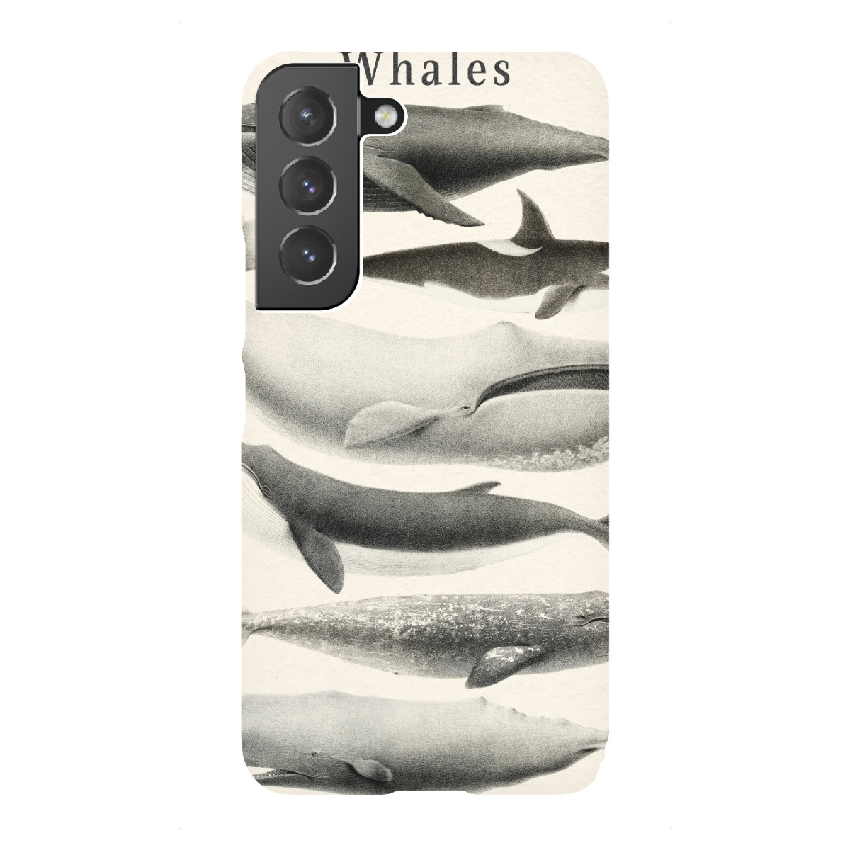 Samsung Galaxy "Wale-Sammlung" Premium-Case Handyhülle artboxONE