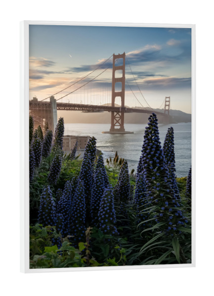 Poster mit weißem Rahmen "Golden Gate im Presidio" artboxONE - Städte,Reise,Architektur,Reise / Länder,Städte / San Francisco