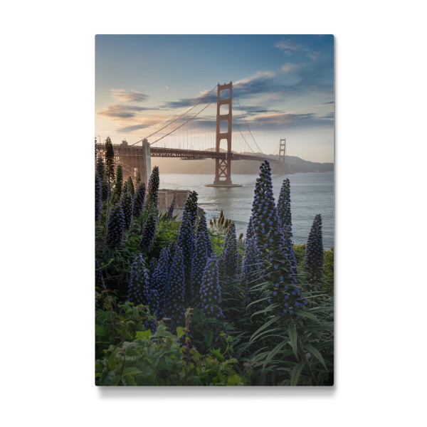Galerie-Print "Golden Gate im Presidio" 30x20 cm artboxONE