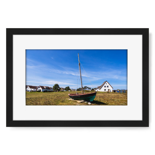 Meadow, boat, houses