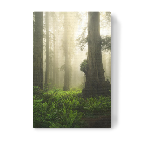 Leinwandbild "Riesen in der Verdammnis" artboxONE - Natur,Reise,Reise / Länder