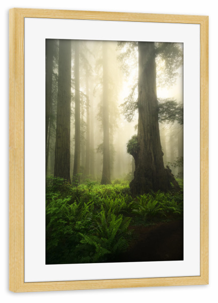 Poster mit Rahmen kiefer "Riesen in der Verdammnis" artboxONE - Natur,Reise,Reise / Länder