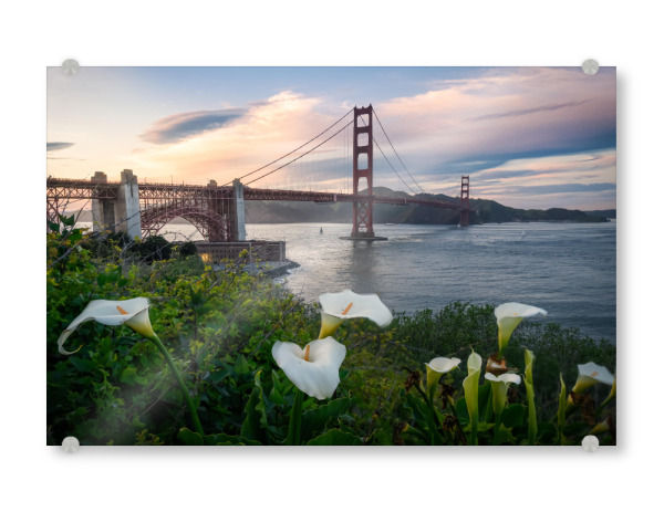 Acrylglasbild "Presidio Frühling" artboxONE - Natur,Reise,Architektur,Reise / Länder,Städte / San Francisco