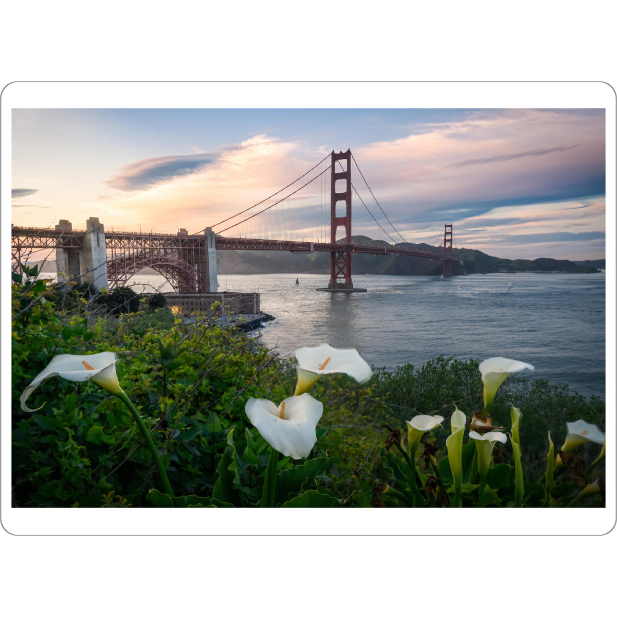 Tischset "Presidio Frühling" artboxONE - Natur,Reise,Architektur,Reise / Länder,Städte / San Francisco