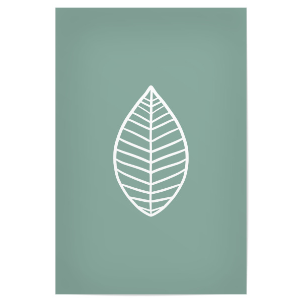 Poster 30x20 cm "Blatt auf Pastell Grün" artboxONE - Natur,Floral,Abstrakt,Geometrie
