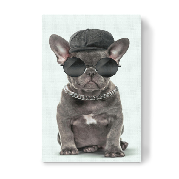 Leinwandbild "Mode-Hund" artboxONE - Tiere,Fashion,Lustig