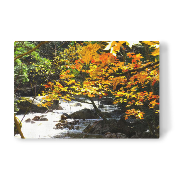 Leinwandbild "Herbstlicher Wildbach" artboxONE - Natur,Reise,Reise / Länder