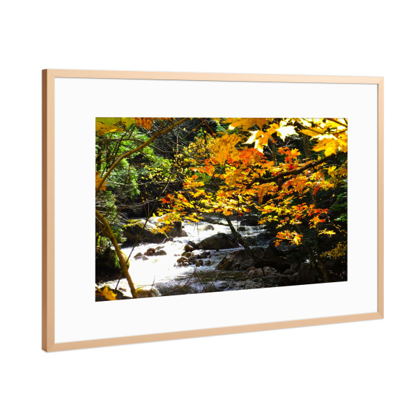 Poster mit Rahmen Kupfer "Herbstlicher Wildbach" artboxONE - Natur,Reise,Reise / Länder