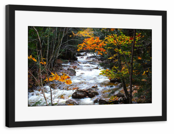 Poster mit Rahmen schwarz "Ein Bach im bunten Herbst" artboxONE - Natur,Reise,Reise / Länder