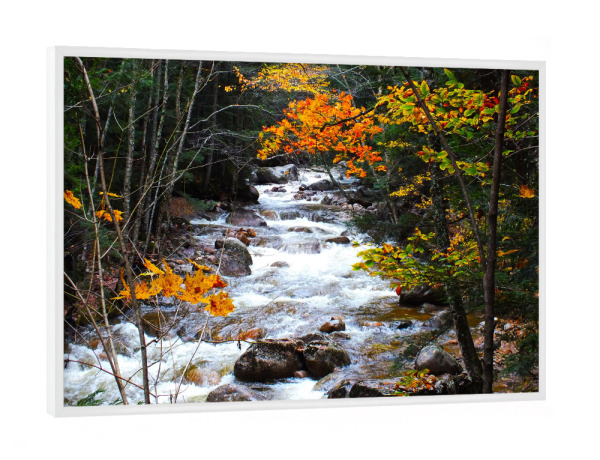 Poster mit weißem Rahmen "Ein Bach im bunten Herbst" artboxONE - Natur,Reise,Reise / Länder