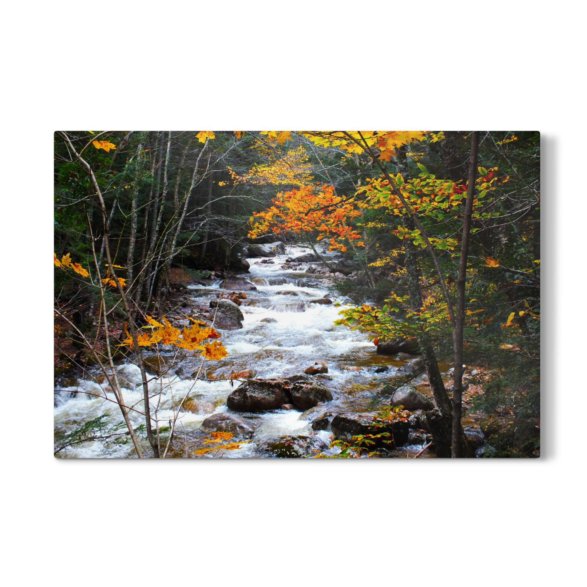 Galerie-Print "Ein Bach im bunten Herbst" 30x20 cm artboxONE