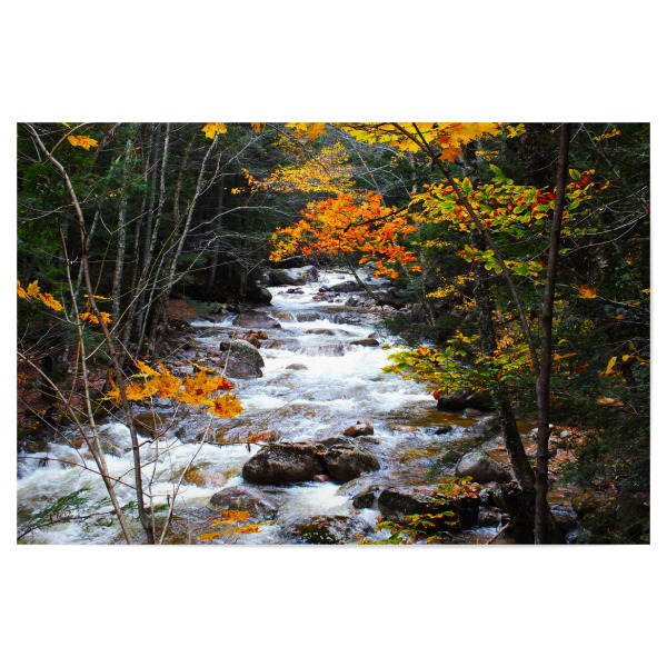 Poster 30x20 cm "Ein Bach im bunten Herbst" artboxONE - Natur,Reise,Reise / Länder