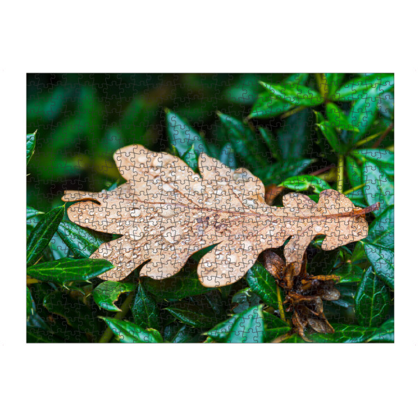 artboxONE Puzzle "Blatt mit Regentropfen" artboxONE - Natur