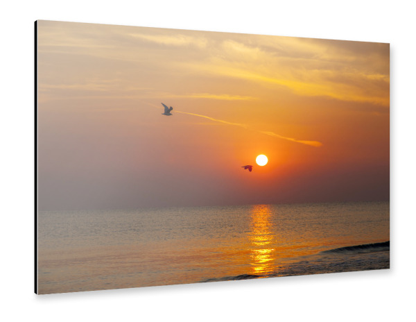 Alu-Dibond "Flug in den Morgen" 30x20 cm artboxONE
