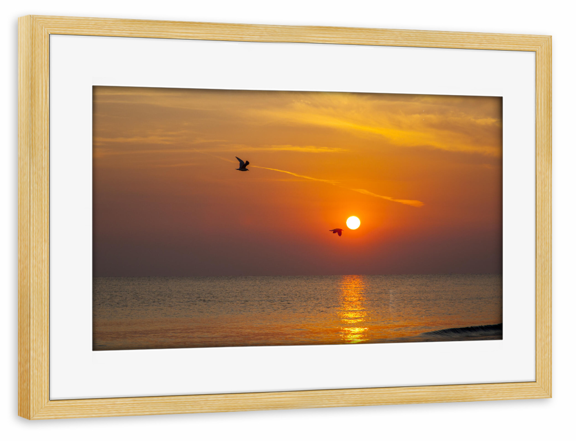 Poster mit Rahmen kiefer "Flug in den Morgen" artboxONE - Natur,Reise,Tiere - Sonnenaufgang,Möve,Meer,Stimmung,Natur